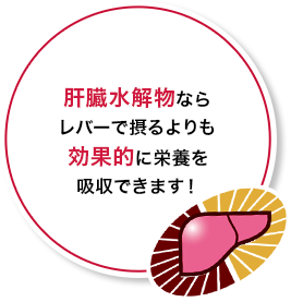 肝臓水解物ならレバーで摂るよりも効果的に栄養を吸収できます！