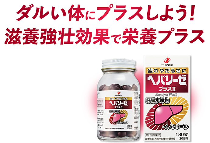 ダルい体にスイッチ入れよう！滋養強壮効果で栄養プラス