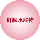 肝臓水解物