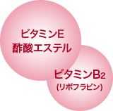 ビタミンE酸エステル　ビタミンB2(リボフラビン)