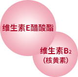 维生素E醋酸酯，维生素B2（核黄素）
