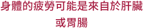 身體的疲勞可能是來自於肝臟或胃腸