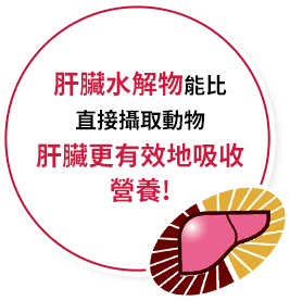 肝臟水解物能比直接攝取動物肝臟更有效地吸收營養!