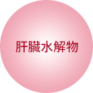 肝臟水解物